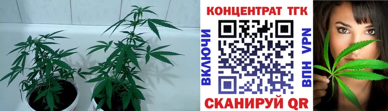 KRAKEN ссылка  Калининград  ТГК жижа 
