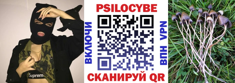 Псилоцибиновые грибы Cubensis  Калининград 