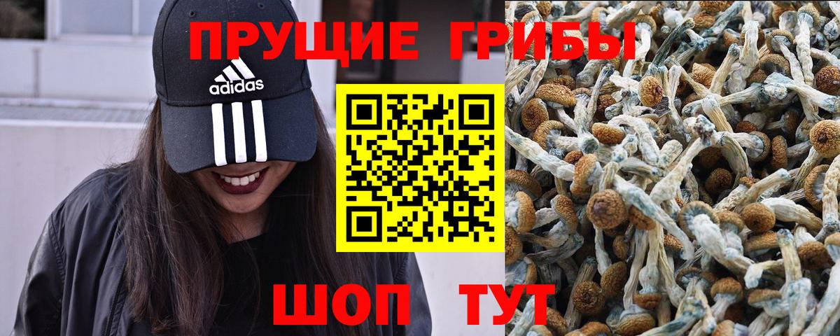 Калининград  Галлюциногенные грибы Magic Shrooms  Вход с VPN 