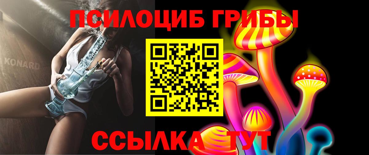 Галлюциногенные грибы Magic Shrooms Калининград