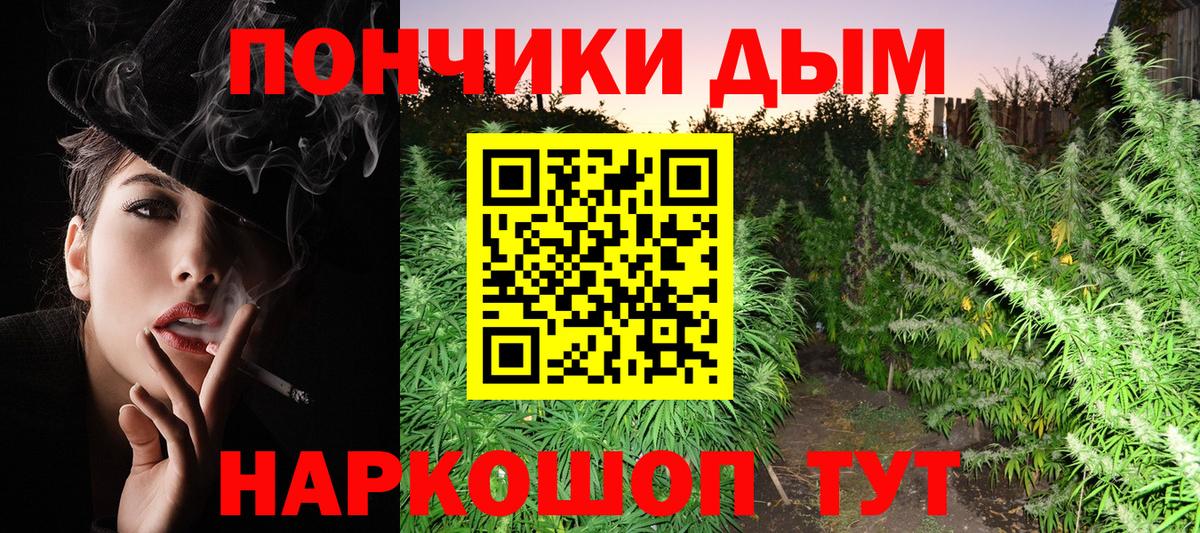 Бошки Шишки SATIVA & INDICA  Канабис тримм  Каннабис ГИДРОПОН  Вход с VPN  Калининград 